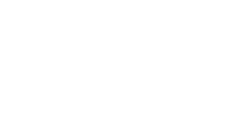 Antsinaction